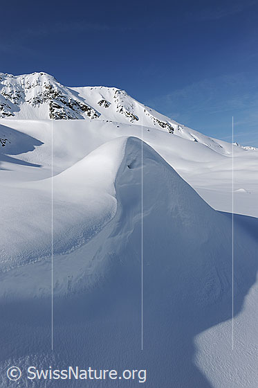 Foto: Wächte in Winterlandschaft mit kompakter Schneedecke im Licht und Schatten.