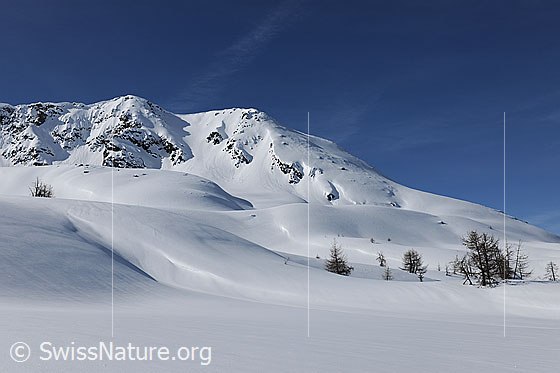 Foto: Unberührte Winterlandschaft mit offener Schneefläche. In der lieblich geformten Berglandschaft am Fusse des Hirli sind ein paar Lärchen zu sehen.