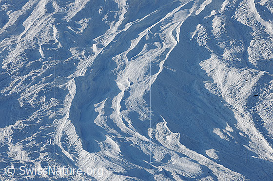 Foto: Ausschnitt aus einem Lawinenkegel mit interessanten Strukturen.