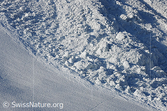 Foto: Rand eines Lawinenkegels. Daneben ist eine Schneefläche mit einer Tierspur zu sehen.