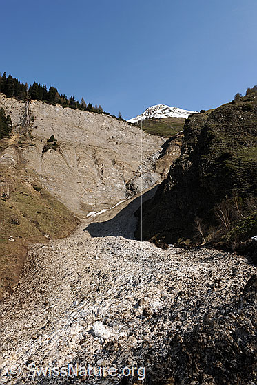 Foto: Lawinenzug und Lawinenkegel in Taleinschnitt mit Felswand und verschneitem Gipfel (Grosses Fülhorn) im Hintergrund.