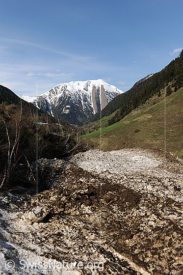 Foto: Lawinenkegel in schneefreier Umgebung mit Breithorn im Hintergrund.