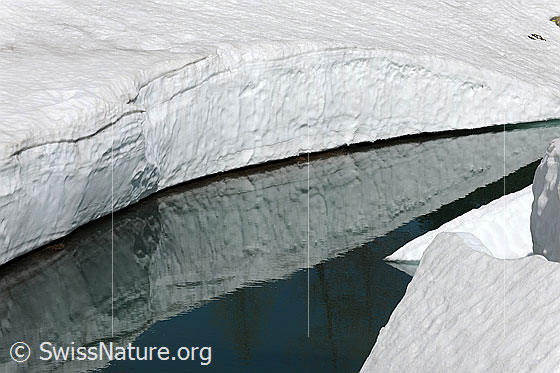 Foto: Der Schneerand einer kompakten Schneedecke begrenzt einen Wasserlauf und spiegelt sich im ruhigen Wasser.