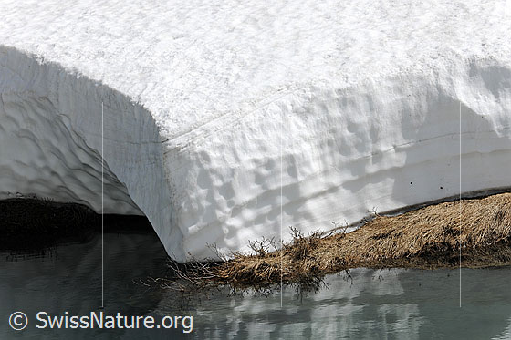 Foto: Ufer eines Wasserlaufs mit kompakter, dicker Schneedecke. Am Rand wird das flachgedrückte, dürre Gras sichtbar. Die Schneeschichtung spiegelt sich schwach im Wasser.