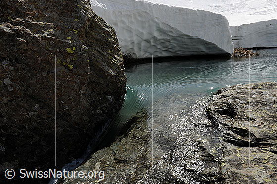 Foto: Abfluss von klarem Wasser aus natürlich gestautem Wasserbecken. Das Wasser biegt um einen Felsblock und fliesst über Felsplatten ab. Im Hintergrund sind hohe Scheeränder einer kompakten Schneedecke zu sehen. Die Schneeschicht weist durch das allmähliche Abschmelzen Muster und Strukturen auf.