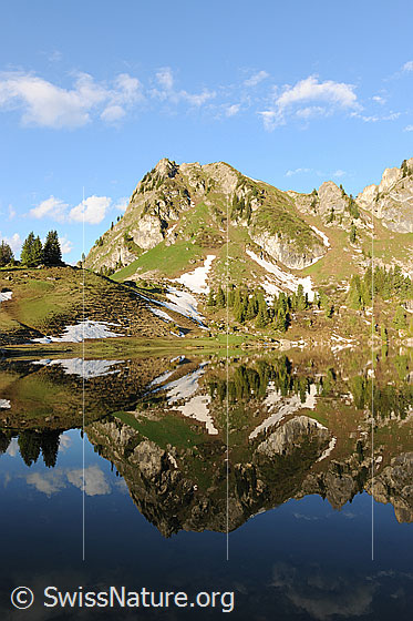 Foto: Spiegelung des Muntiggalm im Seebergsee. Die Schneereste, Felspartien und Tannen in der Bergflanke bilden zusammen mit dem Seespiegel interessante Muster in der Berglandschaft.