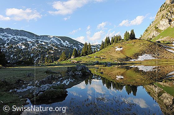 Foto: Licht und Schatten in der Berglandschaft am Seebergsee. Ein mit lichtem Tannenwald bewachsener Hügel spiegelt sich im Bergsee. Im Hintergrund sind der Fromattgrat und Quellwolken zu sehen.