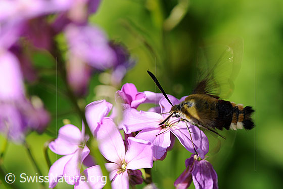 Photo: 
