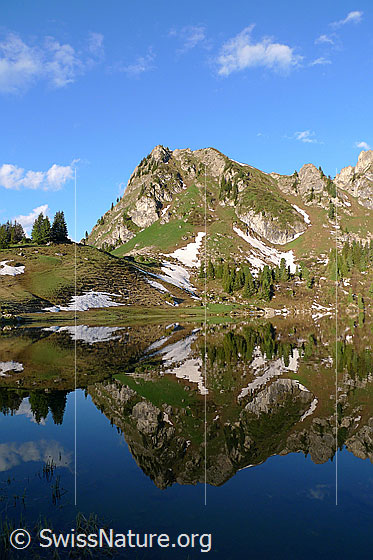 Foto: Spiegelung des Muntiggalm im Seebergsee. Die Schneereste, Felspartien und Tannen in der Bergflanke bilden zusammen mit dem Seespiegel interessante Muster in der Berglandschaft.