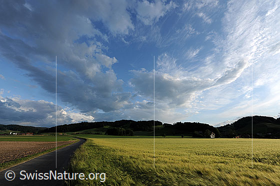 Foto: Wolkenhimmel über Getreidefeld. Eine Nebenstrasse führt über eine landwirtschaftlich genutzte Ebene zu einem Weiler. Das Gerstenfeld im Vordergrund leuchtet im Licht, welches durch die Wolkenstimmung bricht.