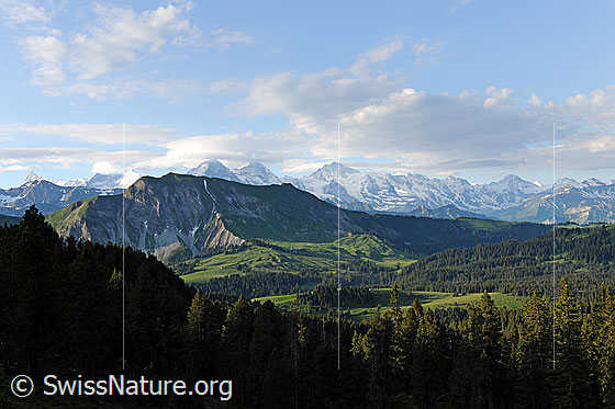 Foto: Voralpengebiet mit Wäldern und Alpenkette der Berner Alpen im Hintergrund.