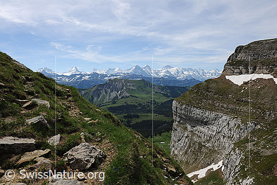 Foto: Aussicht vom Hohgant auf die Alpenkette der Berner Alpen.