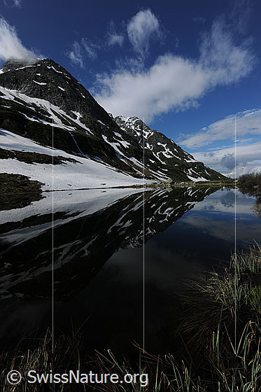 Foto: Spiegelung der Berge mit Schneefeldern im ruhigen Bergsee (Halsesee). Am Ufer sind Grashalme zu sehen. Der Himmel ist leicht bewölkt.