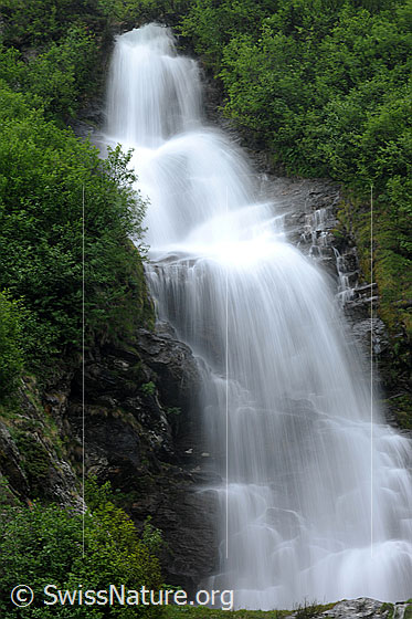 Foto: Langzeitaufnahme Wasserfall. Das Wasser fällt weich und in feinen Strahlen über die gestuften Felsen. Die Umgebung ist grün und mit Sträuchern bewachsen.