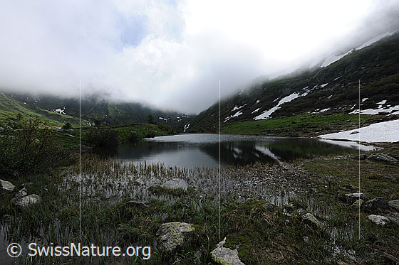 Foto: Tief hängende Wolken über Bergsee (Halsesee). Am seichten Ufer sind Steine zu sehen.