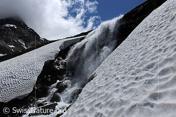 Foto: Stiebender Wasserfall, welcher sich über eine Felsstufe stürzt und als sprudelnder Bergbach zwischen Schneefeldern weiter fliesst. Im Hintergrund ist eine tief hängende Quellwolke zu sehen.