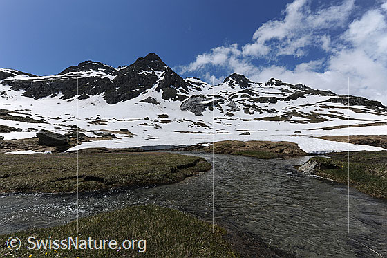Foto: Hochebene mit Wasserläufen und Berglandschaft (Albrunhorn, Valdeserta, Bochtehorn) mit Schneefeldern. Am blauen Himmel sind lockere Quellwolken zu sehen.