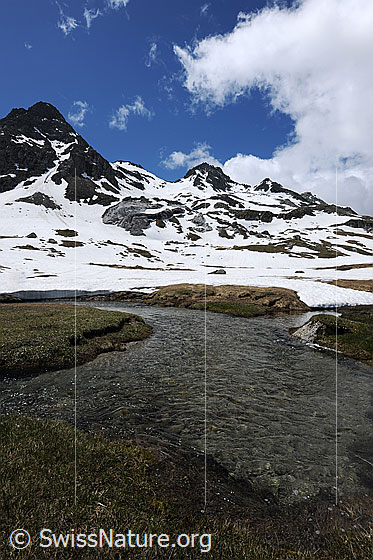 Foto: Berglandschaft mit Schneeresten und einem erfrischenden Wasserlauf im Vordergrund. Am Himmel sind Quellwolken zu sehen. Gipfel: Albrunhorn und Bochtehorn.
