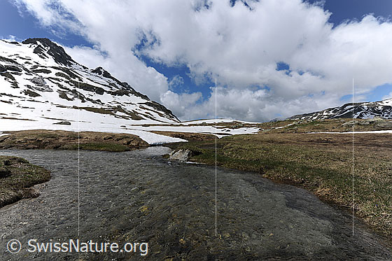 Foto: Quellwolken über Hochebene mit breitem Bergbach und Weidegebiet. In der Berglandschaft liegt noch Schnee.