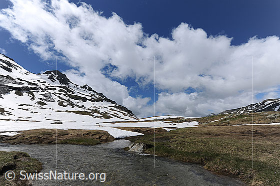 Foto: Quellbewölkung über Hochebene mit breitem Bergbach und Weidegebiet. In den Berghängen im Hintergrund liegt noch Schnee.