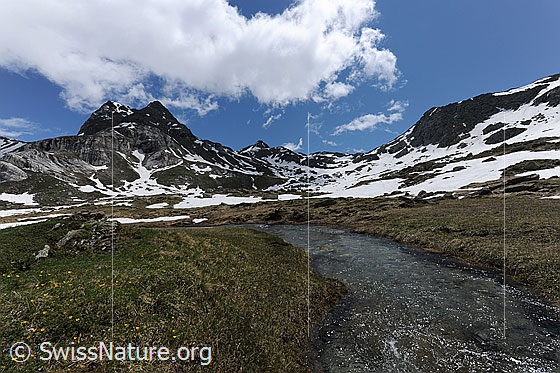 Foto: Wasserlauf in Berglandschaft mit Ofenhorn. Auf den Alpweiden liegen noch Schneereste und am Himmel ist Quellbewölkung zu sehen.