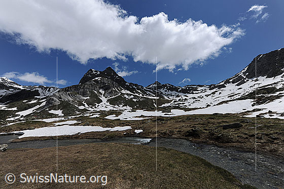Foto: Kurve eines Wasserlaufs in Hochebene. Das Weideland ist teilweise mit Schneefeldern bedeckt. Ein Wolkenband ziert den blauen Himmel über der Berglandschaft mit Ofenhorn.
