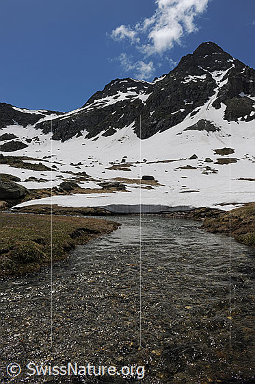 Foto: Berge und Bergbach. Klares Wasser eines Wasserlaufs fliesst über die Hochebene, welche teilweise noch schneebedeckt ist. Über den Berggipfeln im Hintergrund steigen erste Quellwolken auf.