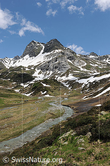 Foto: Hochebene mit Bergbach und Wasserläufen. Am Ofenhorn liegen noch Schneefelder. Lockere Quellwolken zieren den blauen Himmel.
