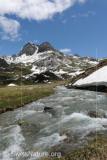 Foto: Bergbach in Ebene mit Berg im Hintergrund. Am Ufer und in den Bergflanken des Ofenhorns liegen noch Schneereste. Darüber sind Quellwolken zu sehen.