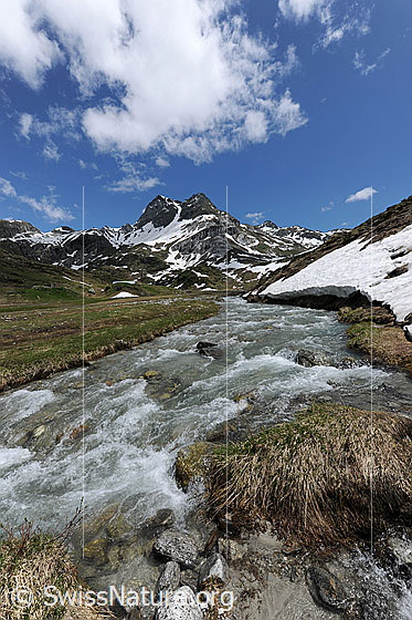 Foto: Bergbach in Hochebene mit Berg im Hintergrund. Am Ufer und in den Bergflanken des Ofenhorns liegen noch Schneereste. Am blauen Himmel sind Quellwolken zu sehen.