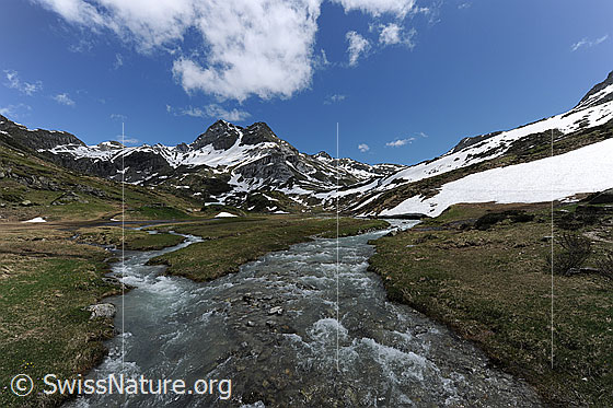 Foto: Bergbäche in Hochebene mit Berg im Hintergrund. Am Ufer und in den Bergflanken des Ofenhorns liegen noch Schneefelder. Darüber sind Quellwolken am blauen Himmel zu sehen.