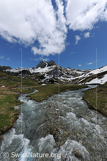 Foto: Hochebene mit Bergbächen und Ofenhorn im Hintergrund. An den Berghängen sind noch Schneefelder und am blauen Himmel Quellwolken zu sehen.