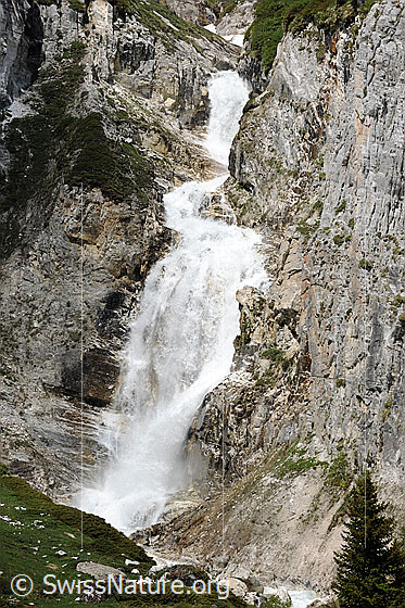 Foto: Tosender Wasserfall in Schlucht mit Felswänden aus hellem Gestein.