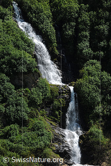 Foto: Erfrischender Wasserfall über mehrere Felsstufen in einem mit Sträuchern bewachsenen Berghang.