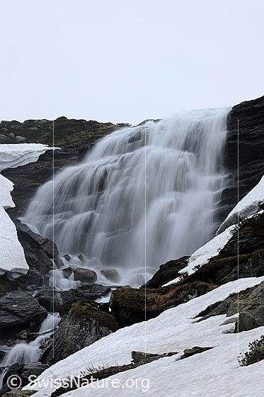 Foto: Fliessendes Wasser. In feinen Strahlen fliesst das Wasser eines Wasserfalls über einen leicht gestuften Felsriegel. Im Bachbett liegen Felsblöcke und in der Umgebung sind noch Schneefelder zu sehen.