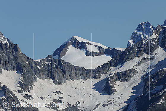 Foto: Studerhorn mit Studergletscher und Schreckhorn. Davor ein langezogener Felsgrat mit den Übergängen Bieligerlicke und Oberlicke.