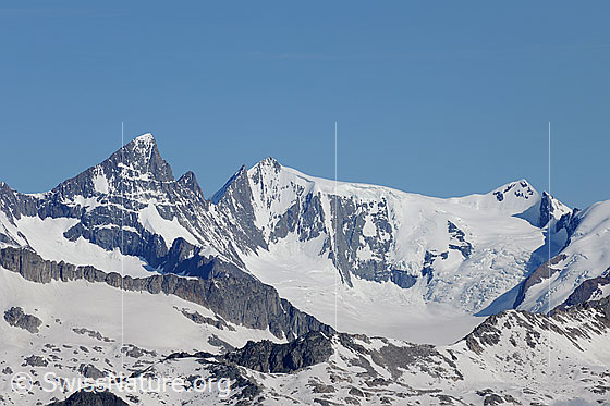 Foto: Gross Grünhorn, Klein Grünhorn, Hinter Fiescherhorn und Ochs. Gletscher: Triftgletscher und Walliser Fiescherfirn.