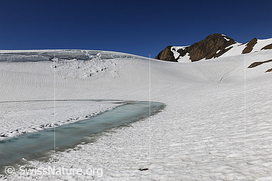 Foto: Schneefläche mit gefrorenem Bergsee, welcher durch das tauen am Ufer erkennbar wird. Hintergrund: Eine Wächte mit kleinem Abbruch, eine Mulde im Schnee und der Gipfel des Holzjihorns.