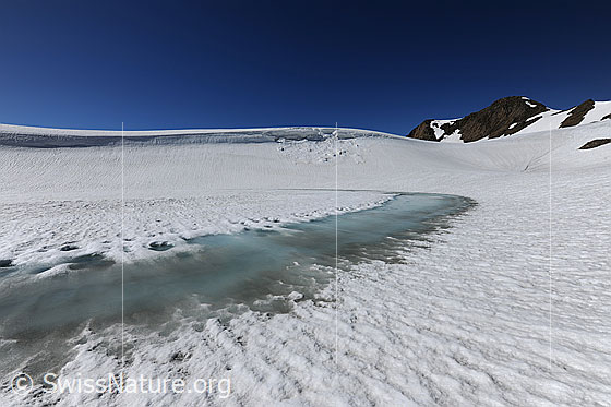 Foto: Eis am Ufer eines zugefrorenen Bergsees. Durch das Tauen hat sich auf der Eisoberfläche Wasser gebildet. Die angrenzende Schneefläche weist Strukturen auf. Im Hintergrund sind eine Wächte mit kleinem Abbruch, eine Mulde im Schnee und der Gipfel des Holzjihorns zu sehen.