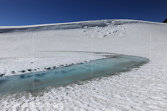 Foto: Hellblaues Wasser auf der Eisdecke des zugefrorenen Bergsees. Das Ufer ist in der schneebedeckten Landschaft bereits erkennbar. Im Hintergrund ist ein Wächtenabbruch zu sehen.