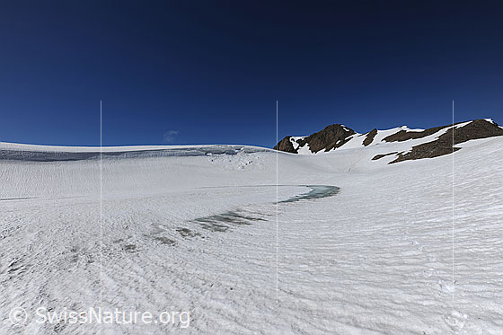 Foto: Schneefläche mit zugefrorenem Bergsee, welcher durch das tauen am Ufer erkennbar wird. Im Hintergrund eine Wächte mit kleinem Abbruch.