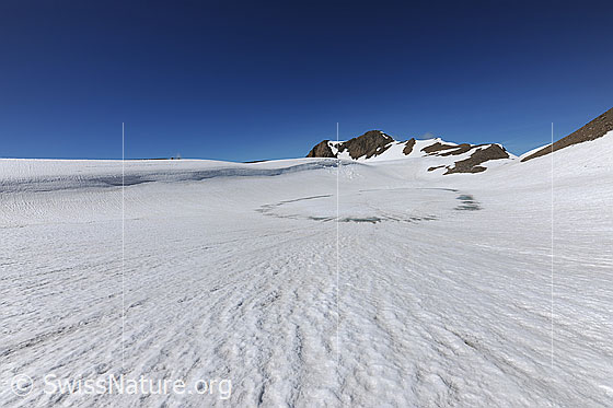 Foto: Zugefrorener See und weite Schneefläche einer Hochebene, die durch eine Wächte begrenzt wird. Im Hintergrund ist das Holzjihorn zu sehen.