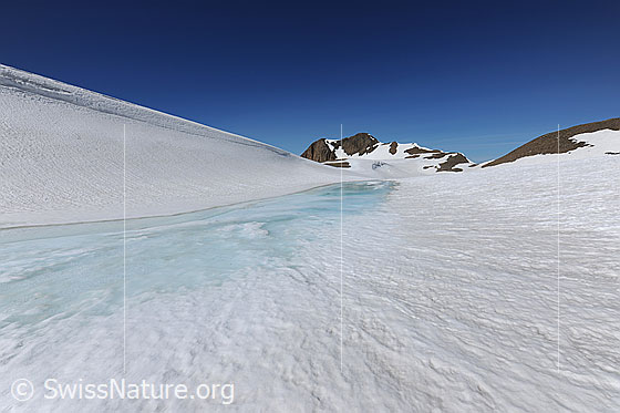 Foto: Weite Schneefläche in Hochebene mit zugefrorenem See und Berg im Hintergrund. Die Eisoberfläche ist angetaut und das Wasser erscheint hellblau über der Eisdecke.