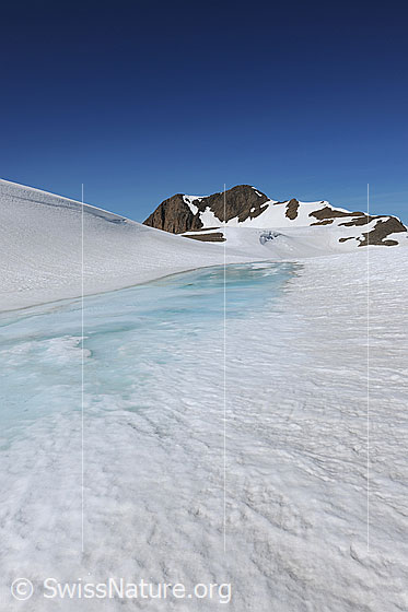 Foto: Schneebedeckte Hochebene mit zugefrorenem Bergsee und dem Holzjihorn im Hintergrund. Die Eisoberfläche eines Bergsees ist angetaut und das Eiswasser erscheint hellblau.