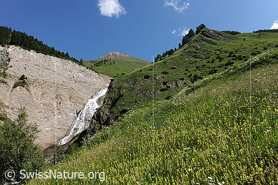 Foto: Feslwand, Wasserfall und Bergwiese. Berglandschaft mit blühender Wiese, Grashängen und einem Wasserfall, welcher am Rand einer hohen Felswand zu sehen ist.