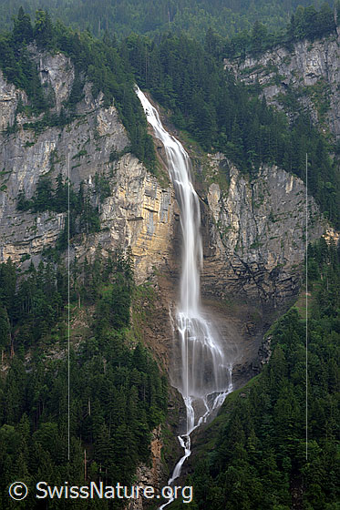 Foto: Ein Wasserfall stürzt über eine hohe Felswand, trifft auf einen Felsvorsprung und fliesst als Bergbach durch bewaldetes Gebiet weiter talwärts.