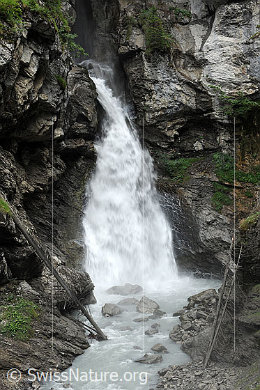 Foto: Wasserfall in Schlucht. Stiebender Pochtefall in der Griesschlucht.