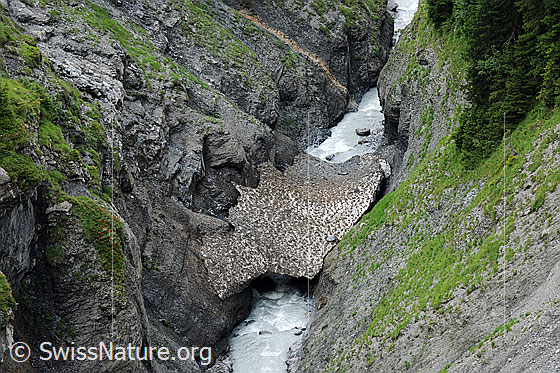 Foto: Schneebrücke über Bergbach in Schlucht. Der Gamchibach zwängt sich durch die eng stehenden Schluchtfelsen.