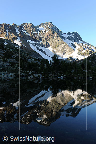 Foto: Spiegelbild Berge. Schwarzhorn mit Schneefeldern und lichter Lärchenbestand spiegeln sich im Mässersee.