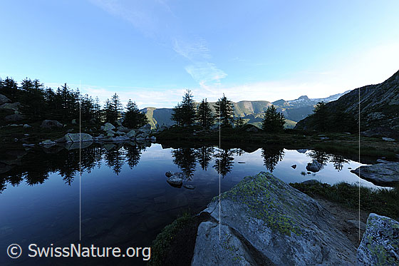 Foto: Morgenstimmung mit Spiegelung der Lärchen im Bergsee (Mässersee). Am Ufer sind Felsblöcke zu sehen.